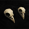 Nevermore Earrings Thumb 02